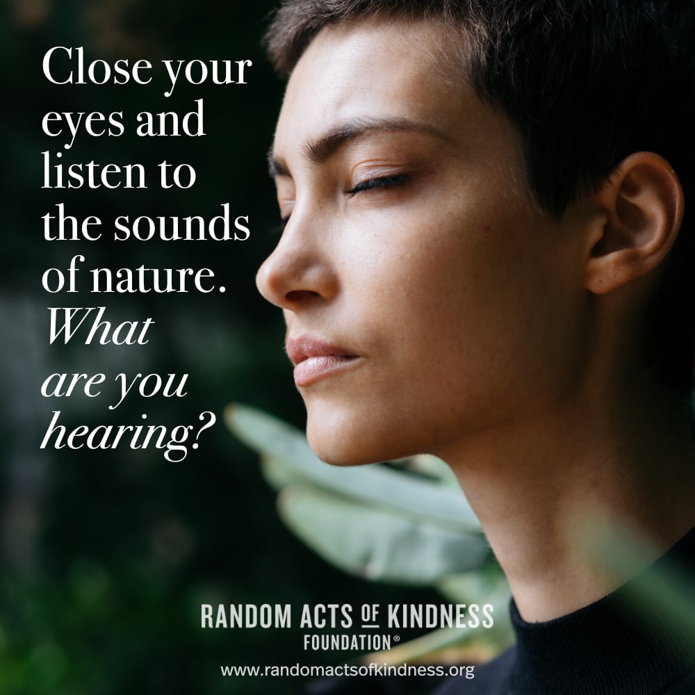 Close your eyes and listen to the sounds of nature. What are you hearing? -Brooke