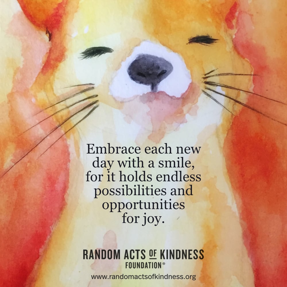 Embrace each new day with a smile, for it holds endless possibilities and opportunities for joy. —Brooke   