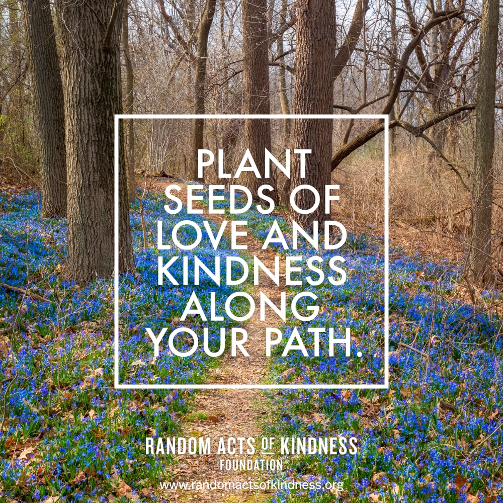 Plant seeds of love and kindness along your path. —Brooke