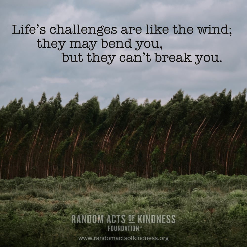 Life's challenges are like the wind; they may bend you, but they can't break you. —Brooke