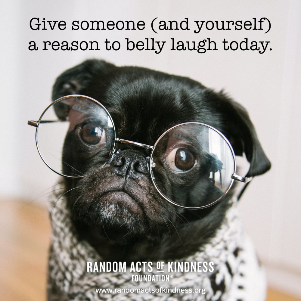Give someone (and yourself) a reason to belly laugh today. —Brooke