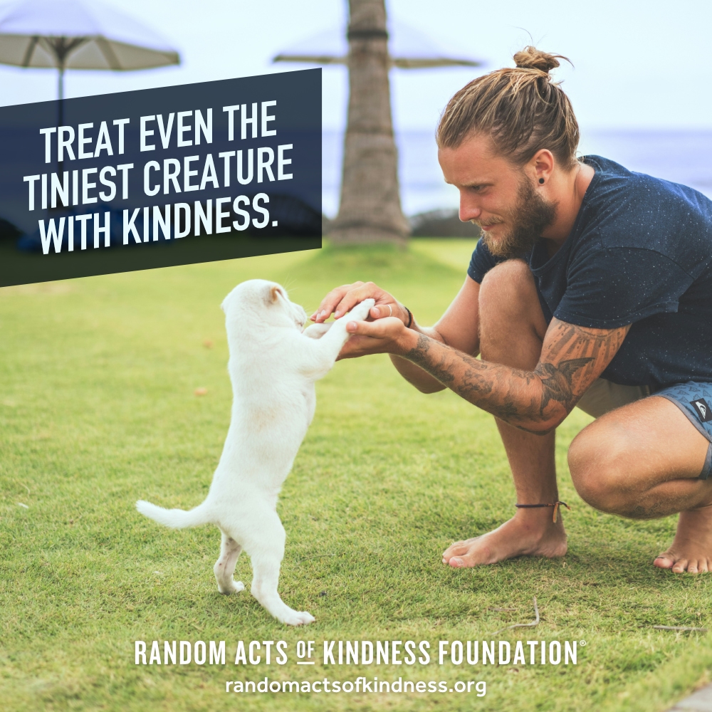 Treat even the tiniest creature with kindness. —Brooke