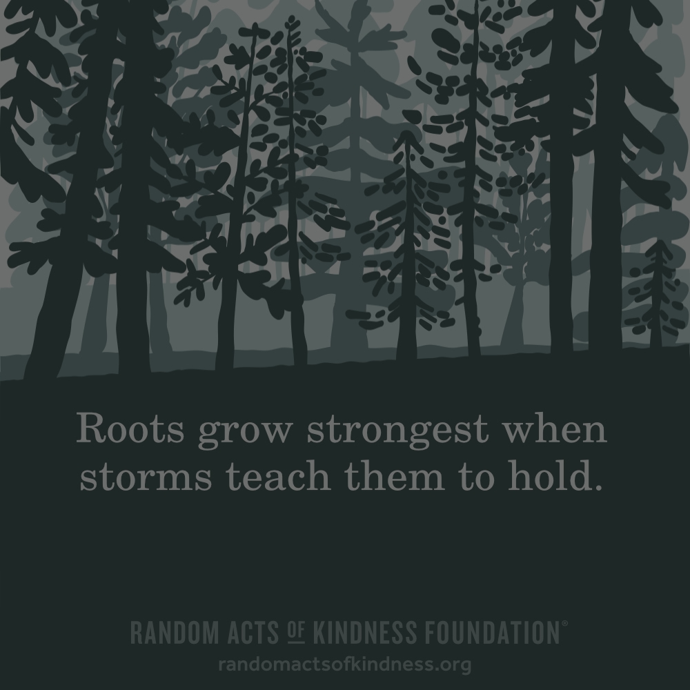 Roots grow strongest when storms teach them to hold. —Brooke