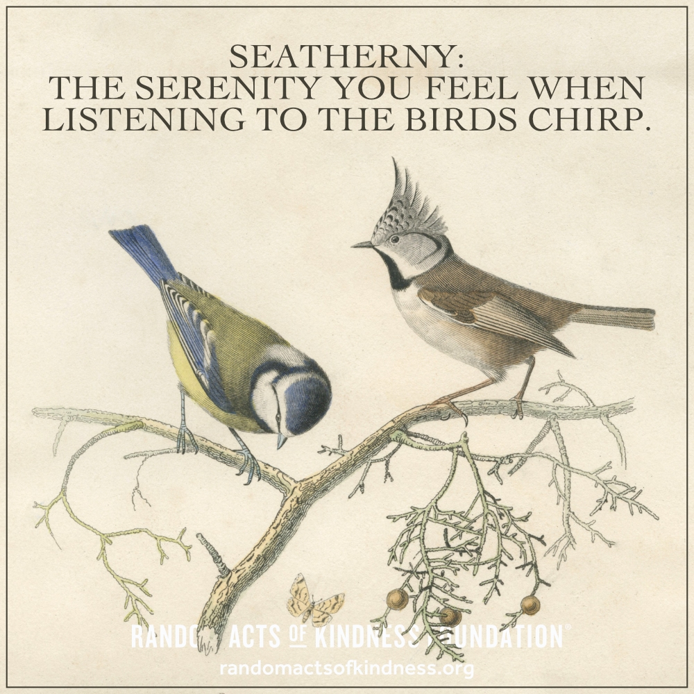 Seatherny: The serenity you feel when listening to the birds chirp.