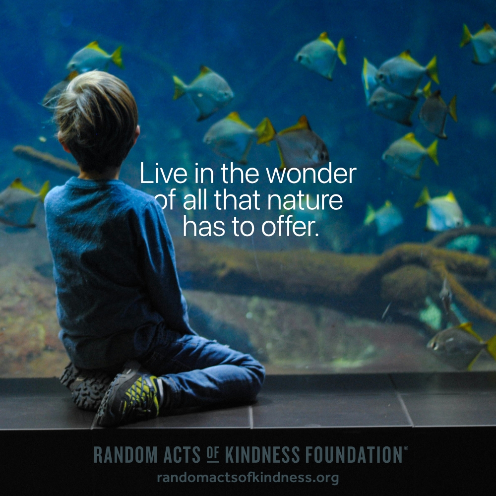 Live in the wonder of all that nature has to offer. —Brooke