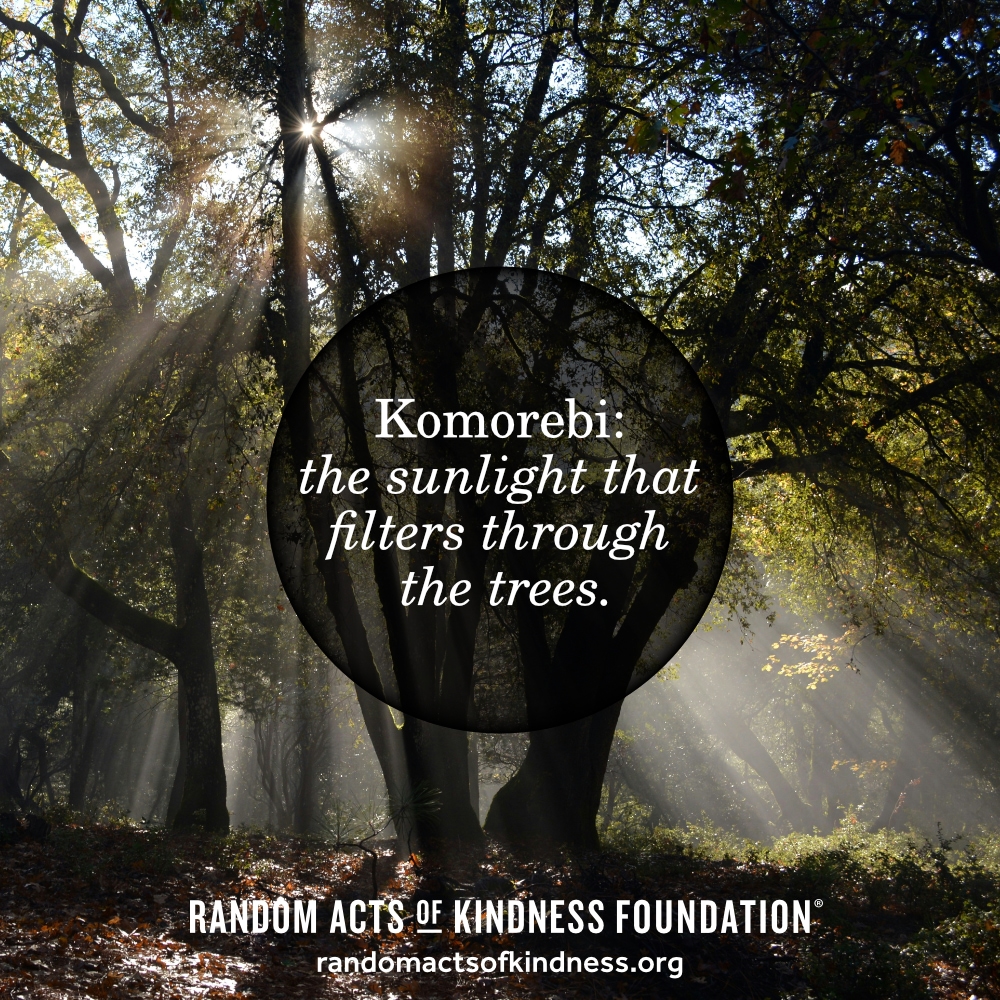 Komorebi: the sunlight that filters through the trees.