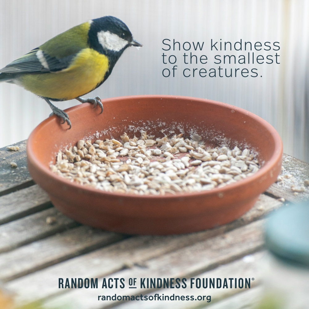 Show kindness to the smallest of creatures. —Brooke