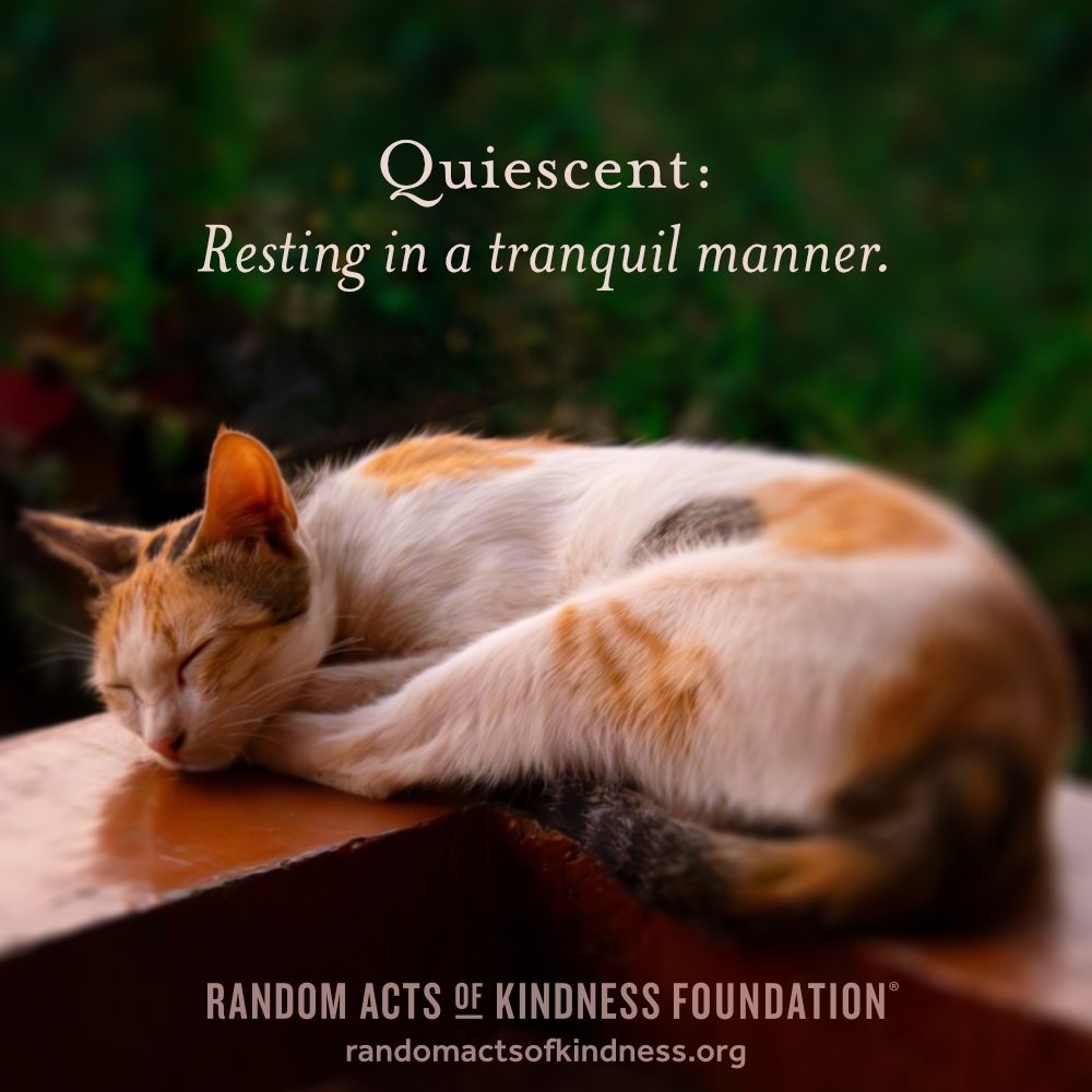 Quiescent: resting in a tranquil manner.