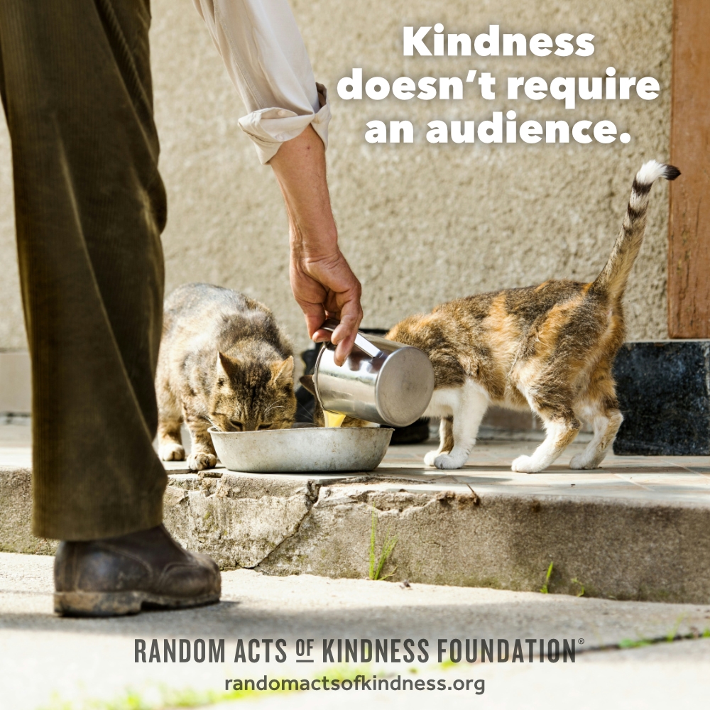 Kindness doesn't require an audience. —Brooke