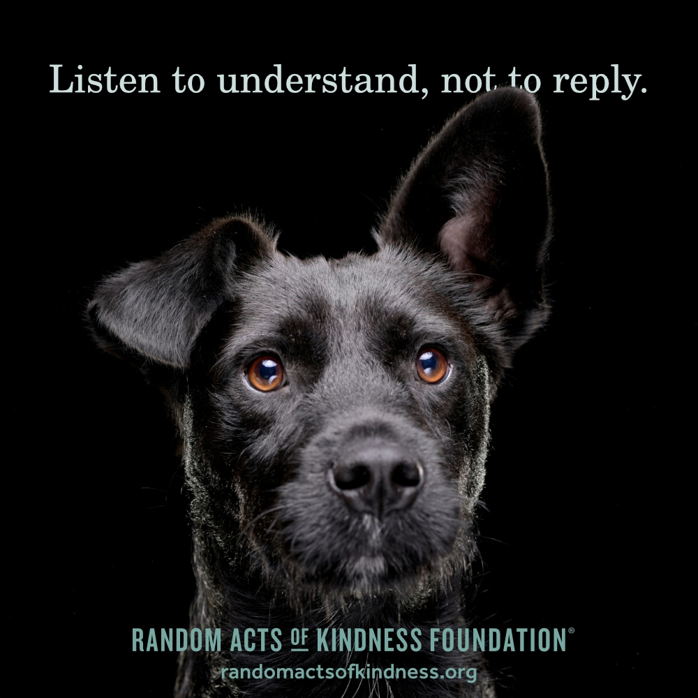 Listen to understand, not to reply. —Brooke