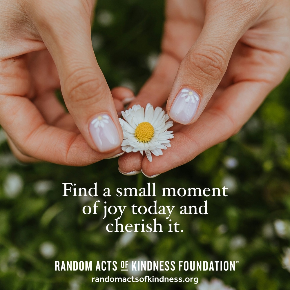 Find a small moment of joy today and cherish it. —Brooke
