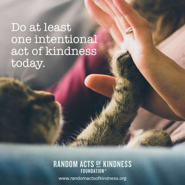 Do at least one intentional act of kindness today. —Brooke