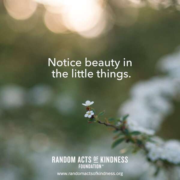 Notice beauty in the little things. —Brooke    
