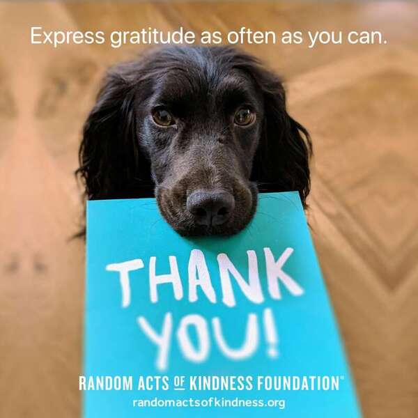 Express gratitude as often as you can. —Brooke