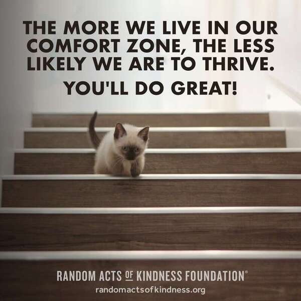 The more we live in our comfort zone, the less likely we are to thrive. You'll do great! —Brooke