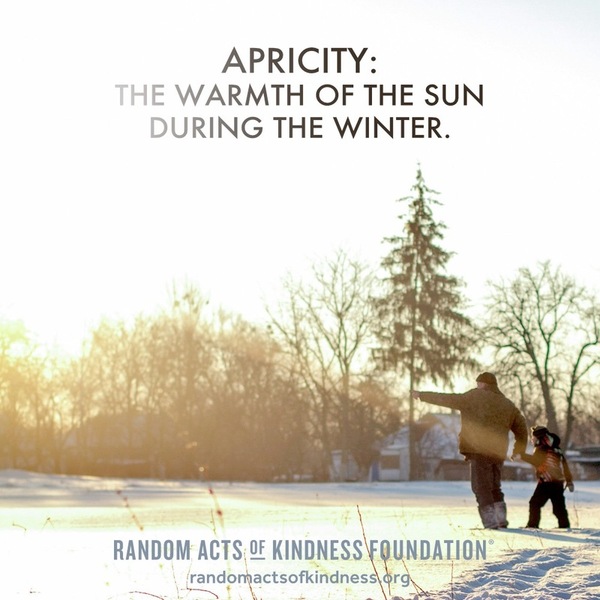 Apricity: The warmth of the sun during the winter.