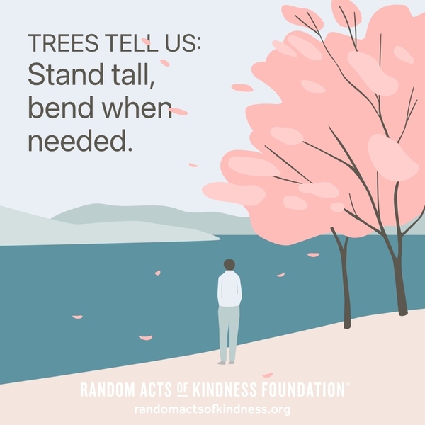 Trees tell us: Stand tall, bend when needed. —Brooke