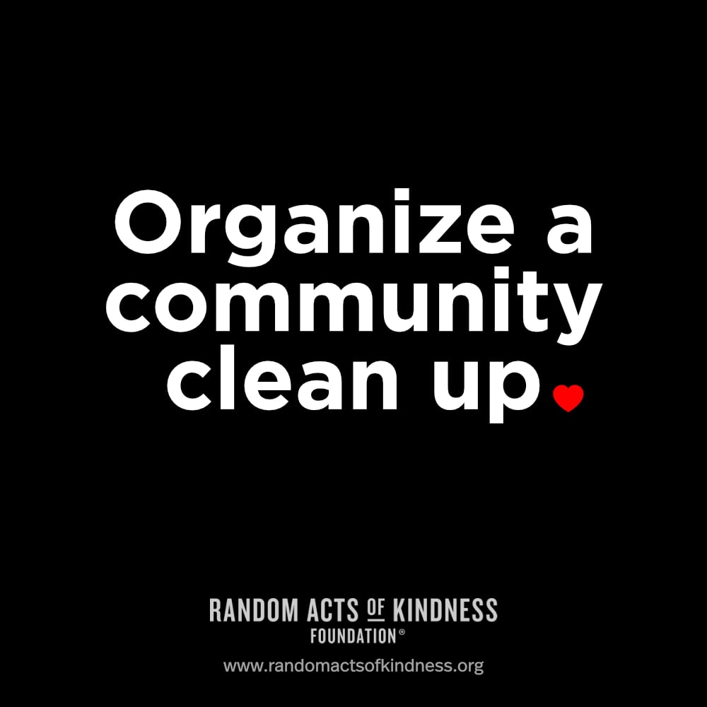 Organize a community clean up.
