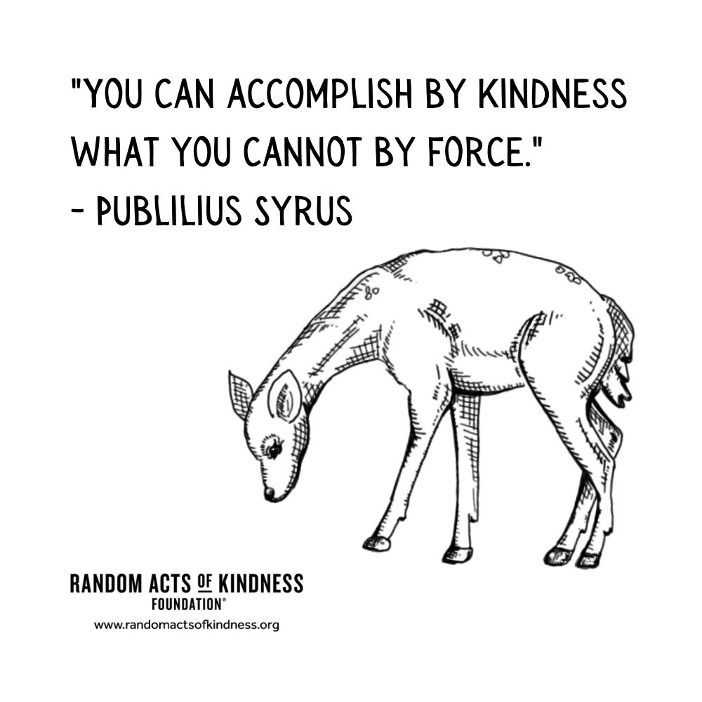 Quotation: You can accomplish by kindness what you cannot by force Publilius Syrus