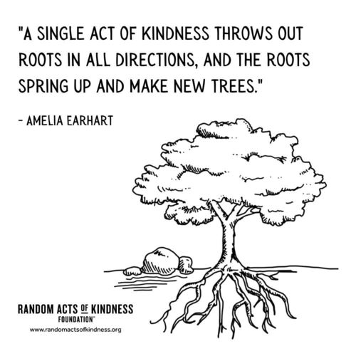 A single act of kindness throws out roots in all directions, and the roots spring up and make new trees. —Amelia Earhart