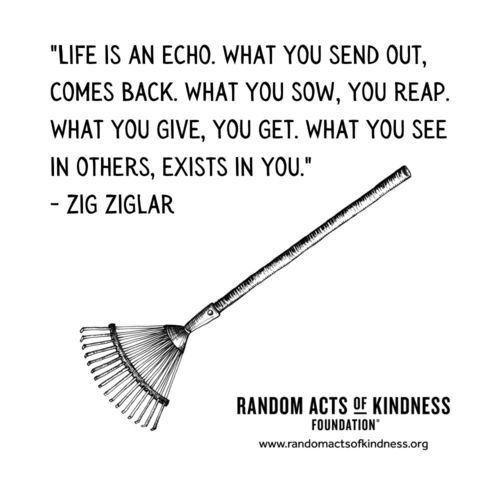 Life is an echo. What you send out, comes back. What you sow, you reap. What you give, you get. What you see in others, exists in you. Zig Ziglar