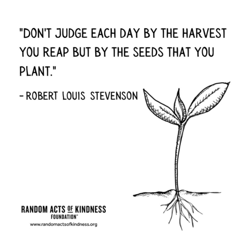 Don't judge each day by the harvest you reap but by the seeds that you plant. Robert Louis Stevenson